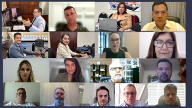 Reunião online com participantes